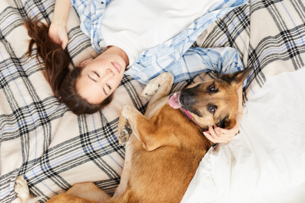 asian woman lying bed with dog 236854 12303 - Foster A Dog: Save A Life