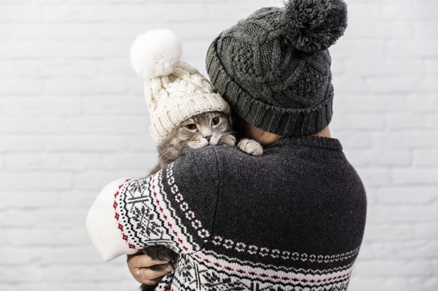 cute cat with hat held by owner 23 2148348119 - Fostering Saves Lives