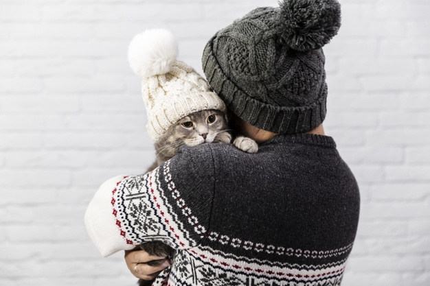 cute cat with hat held by owner 23 2148348119 - Pets For Adoption In Orange County Shelters