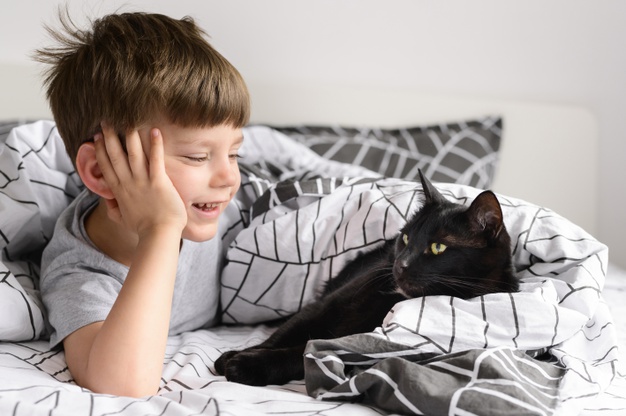 cute little boy watching his cat 23 2148576898 - Fostering Saves Lives