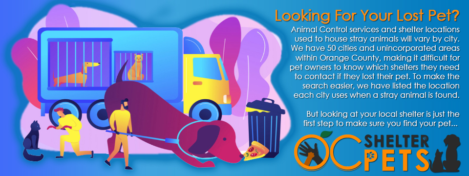 page header - Lost Your Pet In Orange County? We Want To Help!