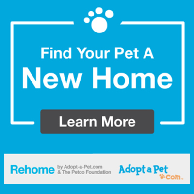Rehoming Your Pet