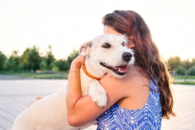 young attractive woman hugging her dog park 154515 323 - About OC Shelter Pets