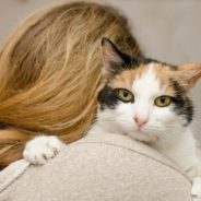 People Are Heading To The Polls To Vote With Their Pets In Mind, Study Finds