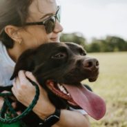 How to start a supported self-rehoming program at your animal shelter