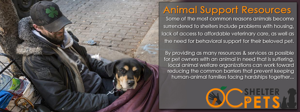 animal support banner - Support & Assistance Services In Orange County