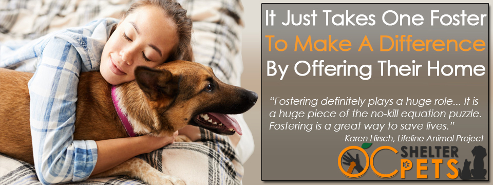 dog foster banner - Fostering Saves Lives