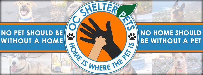 facebook cover - About OC Shelter Pets