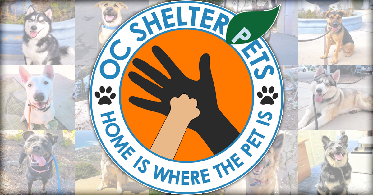 OC Shelter Pets | Non-Profit Group Helping Pets In Orange County Shelters