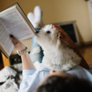 Shelters Report Record Adoption Returns As Life Returns To “New Normal” After Pandemic