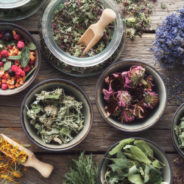 Why give herbs to pets?