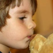 A Judge Makes a Child’s Dream Come True by Letting Him Adopt Teddy Bears