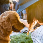How to Start Preparing for Dog Adoption