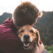 The Benefits of Bodywork for your Pet
