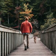 Tips for Better Dog Walks