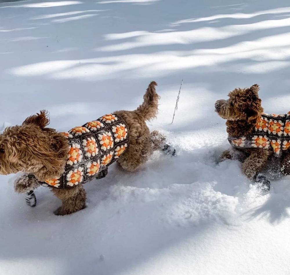 Handmade dog sweaters sale