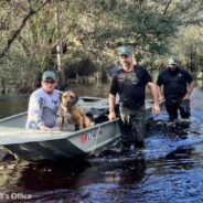 Dog Survives Hurricane Ian On Roof Of RV And Is Finally Rescued 9 Days Later