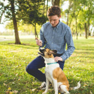 Reddit Labels This Dad The A-Hole Because He Wanted His Son To Walk Their New Dog