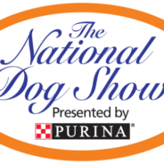2022 National Dog Show