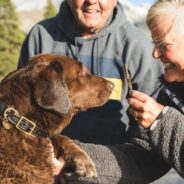 How A Pet Can Help Your Overall Wellness Goals for 2023