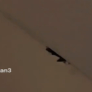 Woman Hears “Weird Noise” Coming From Wall And Out Pops A Hamster