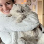 Woman Negotiates To Get Seller’s Cat With Purchase Of Home