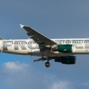 Frontier Is Giving Away Free Flights For People Who Adopt These Kittens