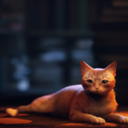 How The Video Game “Stray” Is Helping Real Life Shelter Cats