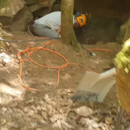 Jax The Staffy Finally Goes Home After After Spending Two Days Stuck In A Cave