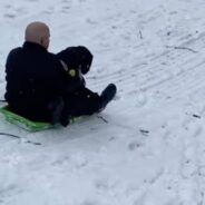 New Hampshire Police Dog & Officer Take A Break To Sled Down Hill
