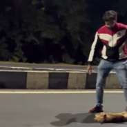 Rescuers Stop To Move Dog’s Body From The Road And Discover He’s Still Breathing