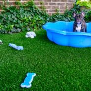 How to Use Artificial Grass for Dogs