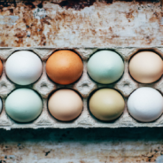Popular Heritage Chickens That Lay Beautifully Colored Eggs