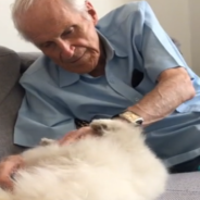 Daughter Gets Lonely Dad a Tiny Rescue Pup and It Changes His Life for the Better