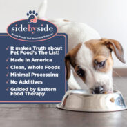 Top 6 Things to Look for in Your Dog’s Food