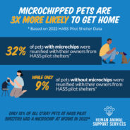 New Analysis: Pets With Microchips Are THREE TIMES More Likely to Get Home