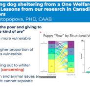 Animal Intake in the HASS Model: the Vision, the Myths, the Revolution