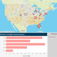 Data Insight: The Potential Power of Intake Data to Keep Pets with Families