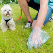 10 Best Biodegradable Dog Poop Bags in 2024 – Reviews & Top Picks