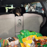 Central Texas Food Bank & Hays County Pet Resource Center Serve Over 250 Families at First Food Distribution for People & Pets