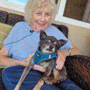 Elderly Woman Shares Emotional Tribute To Late Rescue Dog, Grandpa Grover