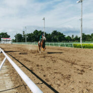 Maryland’s Horse Racing Crisis Deepens as Laurel Park Faces Scrutiny