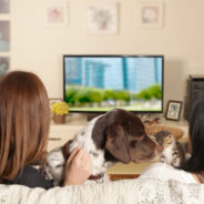 2 Ways Streaming Services Fail Animal-Loving Families