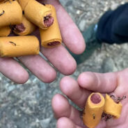 Trail of Terror — Fishhooks in Dog Treats Threaten Pets and Wildlife on Appalachian Path