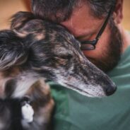 Join the Foster 50 to increase pet fostering