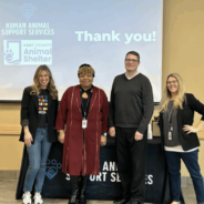 Give Pets a Seat at the Social Services Table
