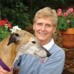 Tui Na for dog endurance training