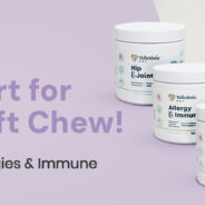 3 Common Health Issues in Dogs (and Key Tips for Improving Quality of Life!)