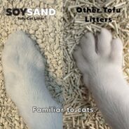 Cat Litter Showdown: Why Crushed Tofu Cat Litter Comes Out on Top!