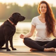 How Your Dog Can Help You Manage Stress